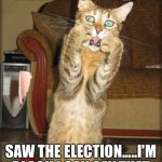 Scaredy Cat | WHEN BLACK PEOPLE; SAW THE ELECTION.....I'M BLACK I CAN SAY THAT | image tagged in scaredy cat | made w/ Imgflip meme maker