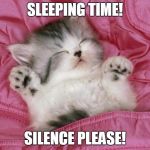 kitten sleeping | SLEEPING TIME! SILENCE PLEASE! | image tagged in memes,cats | made w/ Imgflip meme maker