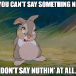 Thumper | IF YOU CAN'T SAY SOMETHING NICE; DON'T SAY NUTHIN' AT ALL. | image tagged in thumper | made w/ Imgflip meme maker