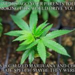 legalized marijuana and voted-in this president, is there a connection.. | FORTY YEARS AGO YOUR PARENTS TOLD YOU THAT SMOKING THIS WOULD DRIVE YOU INSANE; 2016 LEGALIZED MARIJUANA AND CHOSE TRUMP HATE SPEECH. MAYBE THEY WERE RIGHT. | image tagged in marijuana plant | made w/ Imgflip meme maker