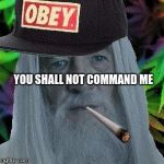 gandalf obey cap | YOU SHALL NOT COMMAND ME | image tagged in gandalf obey cap | made w/ Imgflip meme maker