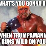 Hulk Hogan | WHAT'S YOU GONNA DO; WHEN TRUMPAMANIA RUNS WILD ON YOU | image tagged in hulk hogan | made w/ Imgflip meme maker