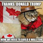 Canada Cat | THANKS, DONALD TRUMP; NOW WE NEED TO BUILD A WALL TOO | image tagged in canada cat | made w/ Imgflip meme maker