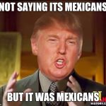 Ancient aliens donald trump | NOT SAYING ITS MEXICANS; BUT IT WAS MEXICANS | image tagged in ancient aliens donald trump | made w/ Imgflip meme maker