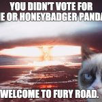 grumpy cat | YOU DIDN'T VOTE FOR ME OR HONEYBADGER PANDA? WELCOME TO FURY ROAD. | image tagged in grumpy cat | made w/ Imgflip meme maker