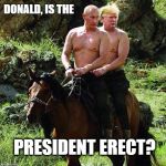 Trumputin | DONALD, IS THE; PRESIDENT ERECT? | image tagged in putin,trump,president elect,election 2016,vladimir putin,donald trump | made w/ Imgflip meme maker