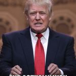 Donald Trump | WHEN YOU RAN AS A JOKE; AND ACTUALLY WON | image tagged in donald trump | made w/ Imgflip meme maker