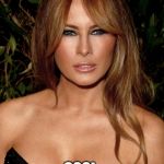 melania trump | THIS IS THE FIRST LADY? COOL | image tagged in melania trump | made w/ Imgflip meme maker