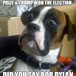 shocked | IN 2016, CUBS WIN WORLD SERIES, BOB DYLAN WON A NOBEL PRIZE & TRUMP WON THE ELECTION; DID YOU SAY BOB DYLAN WON A NOBEL PRIZE?! | image tagged in shocked | made w/ Imgflip meme maker