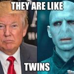 Trumps twin bro | THEY ARE LIKE; TWINS | image tagged in trumps twin bro | made w/ Imgflip meme maker