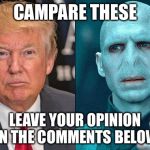 Trumps twin bro | CAMPARE THESE; LEAVE YOUR OPINION IN THE COMMENTS BELOW | image tagged in trumps twin bro | made w/ Imgflip meme maker