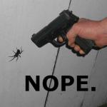 SPIDER GUN FIGHT meme