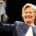 Clinton Smelly Cat meme