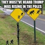 Immigrants Crossing | THEY MUST'VE HEARD TRUMP WAS RISING IN THE POLES | image tagged in immigrants crossing | made w/ Imgflip meme maker
