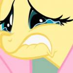 Your Comment Made Fluttershy Cry meme