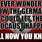 nazi flag | EVER WONDER HOW THE GERMANS COULD LET THE HOLOCAUST HAPPEN? WELL NOW YOU KNOW. | image tagged in nazi flag | made w/ Imgflip meme maker