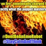 Don't be an Emo Robot | "hair on fire" emotionally charged fools; are exactly what the puppet masters want! #DontBeAnEmoRobot; #StayCalmAndThink | image tagged in hair on fire,stay calm,think | made w/ Imgflip meme maker