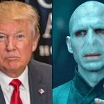 Voldemort and danold meme