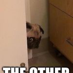 pug peeking | HELLO FROM; THE OTHER SIDE | image tagged in pug peeking | made w/ Imgflip meme maker