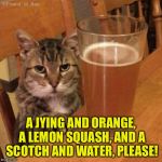 Angry Drunk Cat | A JYING AND ORANGE, A LEMON SQUASH, AND A SCOTCH AND WATER, PLEASE! | image tagged in angry drunk cat,memes | made w/ Imgflip meme maker