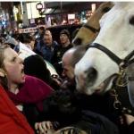 protestor horse