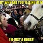 protestor horse | LADY WHY ARE YOU YELLING AT ME? I'M JUST A HORSE! | image tagged in protestor horse | made w/ Imgflip meme maker
