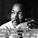 martin Luther King Jr  | "Nothing in all the world is more dangerous than sincere ignorance and conscientious stupidity." ~Martin Luther King Jr | image tagged in martin luther king jr | made w/ Imgflip meme maker