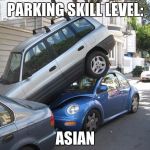 How Asians Park | PARKING SKILL LEVEL:; ASIAN | image tagged in car parking | made w/ Imgflip meme maker