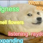 #username weekend ! Just found this template! Much lol #raydog | Wow much rays; bigness; smell flowers; listening  raydough; expanding | image tagged in douge,use the username weekend,use someones username in your meme,doge,raydog | made w/ Imgflip meme maker
