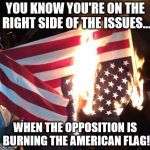 Disgraceful! | YOU KNOW YOU'RE ON THE RIGHT SIDE OF THE ISSUES... WHEN THE OPPOSITION IS BURNING THE AMERICAN FLAG! | image tagged in flag burning upside down,memes,trump 2016,liberal logic | made w/ Imgflip meme maker