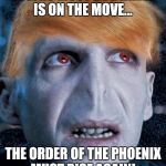 He who must be blamed!  | "HE WHO MUST BE BLAMED" IS ON THE MOVE... THE ORDER OF THE PHOENIX MUST RISE AGAIN! | image tagged in he who must be blamed | made w/ Imgflip meme maker