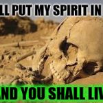 Desert Bones | I WILL PUT MY SPIRIT IN YOU; AND YOU SHALL LIVE | image tagged in desert bones | made w/ Imgflip meme maker
