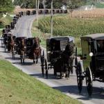 PA Amish