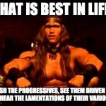 conan crush your enemies | WHAT IS BEST IN LIFE? TO CRUSH THE PROGRESSIVES, SEE THEM DRIVEN BEFORE YOU AND TO HEAR THE LAMENTATIONS OF THEIR VARIOUS GENDERS. | image tagged in conan crush your enemies | made w/ Imgflip meme maker