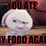 Secret Life of Pets - Snowball #3 | YOU ATE; MY FOOD AGAIN | image tagged in secret life of pets - snowball 3 | made w/ Imgflip meme maker