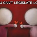 We will not go backwards on LGBTQ issues! | YOU CAN'T LEGISLATE
LOVE | image tagged in love,lgbt | made w/ Imgflip meme maker