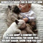 Cuddle Bug | THIS IS B, B IS A 19 YEAR OLD BERKELEY STUDENT, SHE IS CONTENT NOW; PLEASE ADOPT A COMFORT PET FOR A MILLENNIAL YOU KNOW THIS HOLIDAY SEASON, SHOW THEM YOU CARE | image tagged in cuddle bug | made w/ Imgflip meme maker