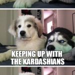 Upset Husky | WHAT'S DASHHOPES FAVORITE REALITY SHOW; KEEPING UP WITH THE KARDASHIANS | image tagged in upset husky | made w/ Imgflip meme maker