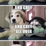 Upset Husky | WHATS GREY; AND GREY; AND GREY ALL OVER; EVERYTHING | image tagged in upset husky | made w/ Imgflip meme maker