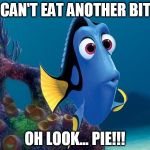 Dory Question | I CAN'T EAT ANOTHER BITE; OH LOOK... PIE!!! | image tagged in dory question | made w/ Imgflip meme maker