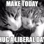 catshug | MAKE TODAY; HUG A LIBERAL DAY | image tagged in catshug | made w/ Imgflip meme maker
