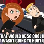 kim possible | THAT WOULD BE SO COOL IF IT WASNT GOING TO HURT US | image tagged in kim possible | made w/ Imgflip meme maker
