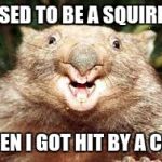 Happy Wombat | I USED TO BE A SQUIRREL; THEN I GOT HIT BY A CAR | image tagged in happy wombat | made w/ Imgflip meme maker