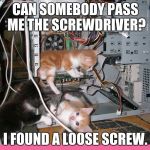Kittens fixing a computer | CAN SOMEBODY PASS ME THE SCREWDRIVER? I FOUND A LOOSE SCREW. | image tagged in kittens fixing a computer | made w/ Imgflip meme maker