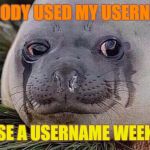 To be fair though, it's kinda hard to use "that_guy_who_wants_to_be_on_the_" tho... | NOBODY USED MY USERNAME; IN USE A USERNAME WEEKEND | image tagged in sad seal,memes,use a username weekend | made w/ Imgflip meme maker