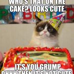 Grumpy Cat Cake | WHO'S THAT ON THE CAKE?
LOOKS CUTE. IT'S YOU GRUMP; OHHH THEN IT'S NOT CUTE | image tagged in grumpy cat cake | made w/ Imgflip meme maker