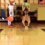 bowling | COME ON SPARKY; ITS MY TURN | image tagged in bowling | made w/ Imgflip meme maker