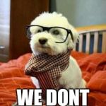 Nerd dog | SO THAT IS WHY; WE DONT NEED A CAT! | image tagged in nerd dog | made w/ Imgflip meme maker