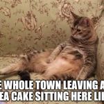 Mocha Chilling | THE WHOLE TOWN LEAVING AND TEA CAKE SITTING HERE LIKE | image tagged in mocha chilling | made w/ Imgflip meme maker