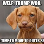 Kinda Done Dog | WELP, TRUMP WON. MOM! TIME TO MOVE TO OUTER SPACE!! | image tagged in kinda done dog | made w/ Imgflip meme maker